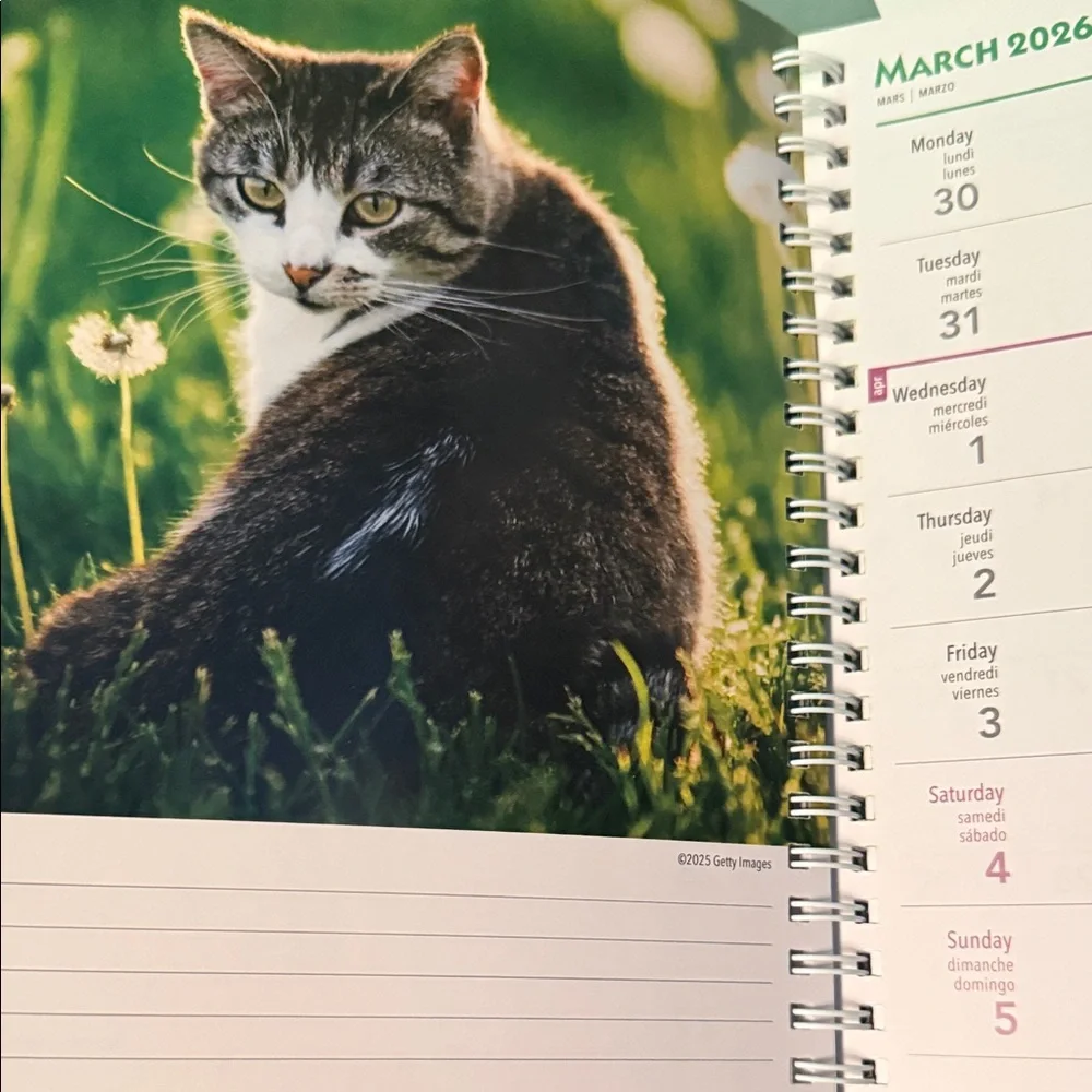 LAST CHANCE SALE- Cat Lovers 2026 Planner BNWT and Mug Set